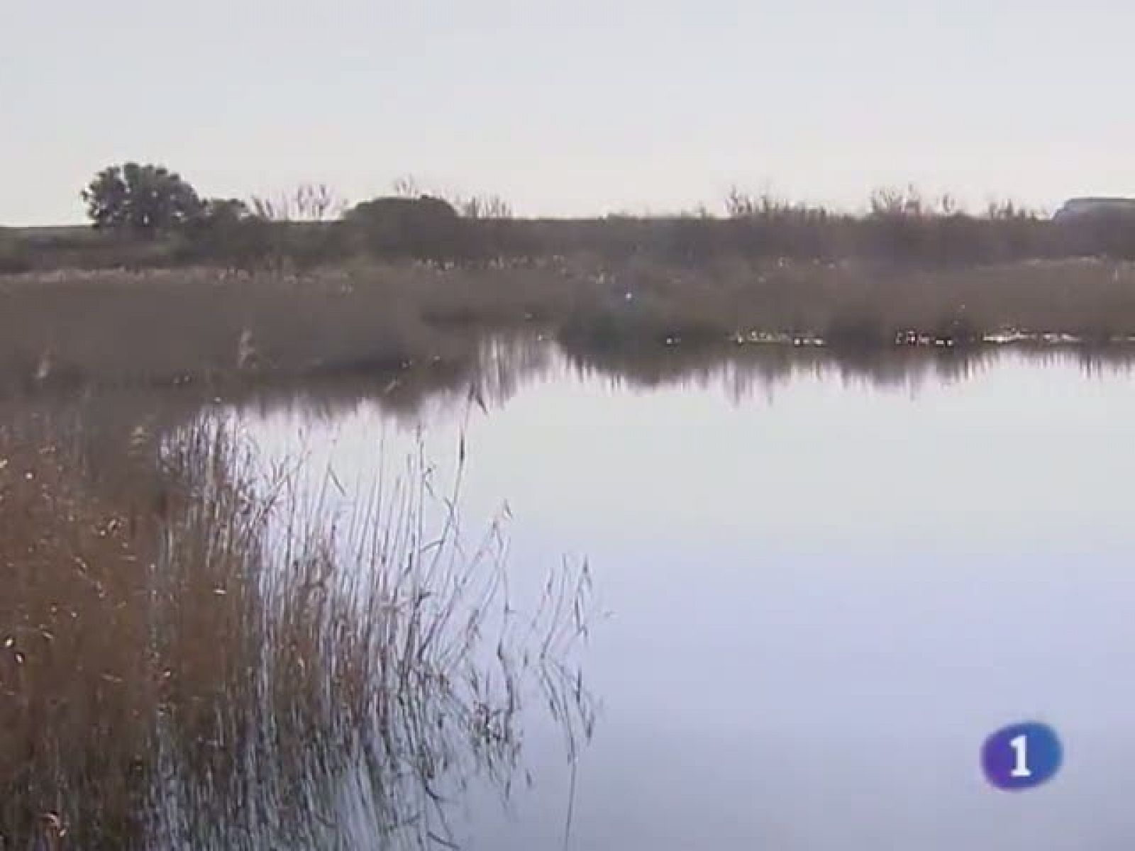 Noticias de Castilla La Mancha. Informativo de Castilla La Mancha. (22/03/2011)