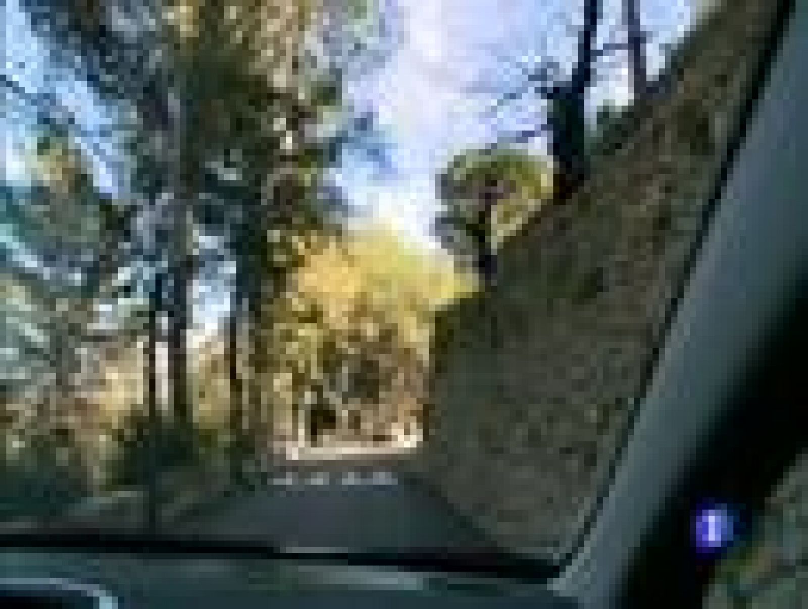 Destino España - Valencia IV - Jean Michele