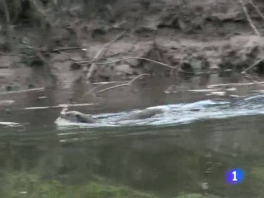 TeleCantabria - Telecantabria en 2' - 24/03/11