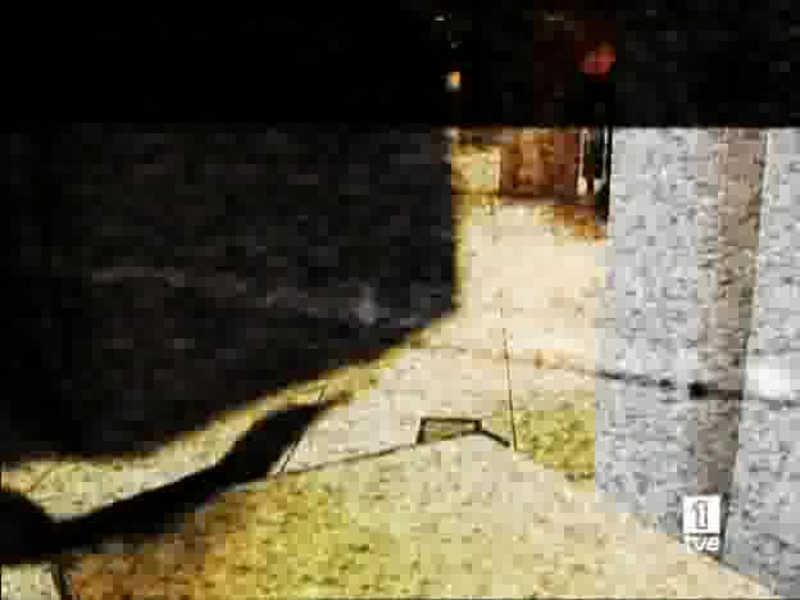 Repor - Locos por las armas - Mozo soltero busca - Repor | Ver