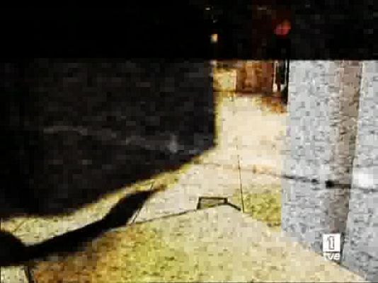 Repor - Locos por las armas - Mozo soltero