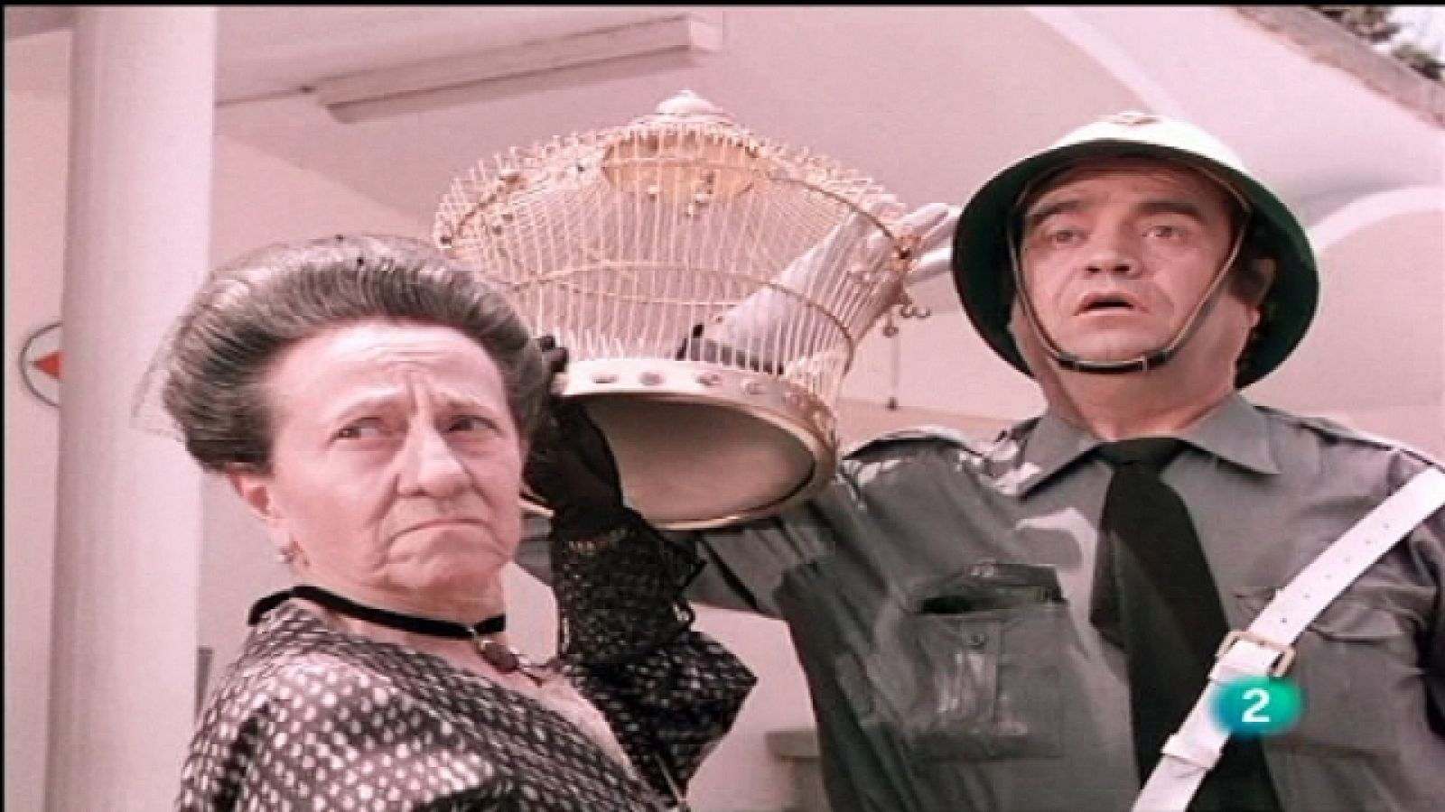 Los pajaritos - Singular.es | Ver