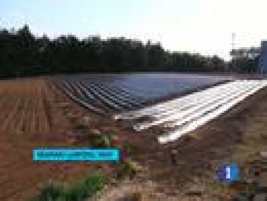  - Radiación en los alimentos