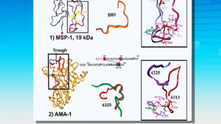 Telediario 1 - Vacunas para 500 enfermedades