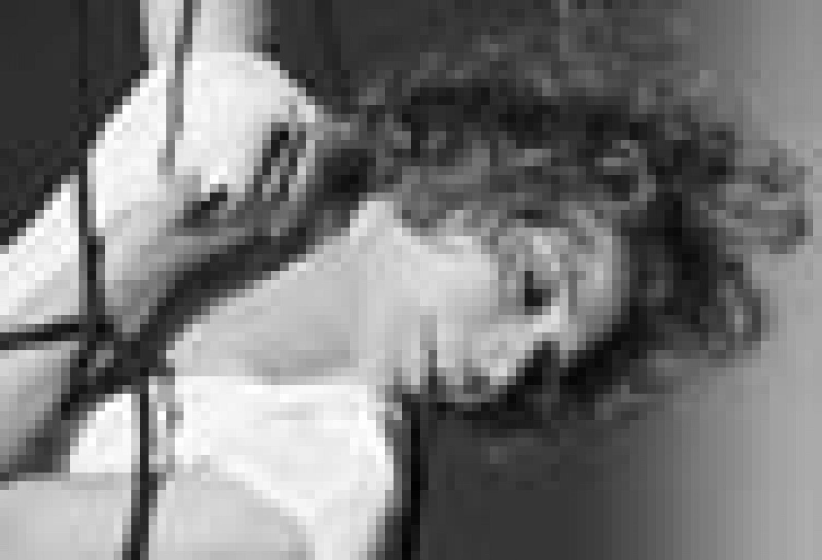 Mira Awad lanza 'Burka', el primer single de su nuevo álbum 'All My Faces'