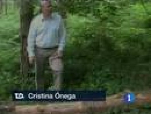 Telediario 1 - El jefe del comando 'Vizcaya', Arkaitz Goikoetxea reconoce que 'Txeroki' le ordenó asesinar a un edil del PSOE