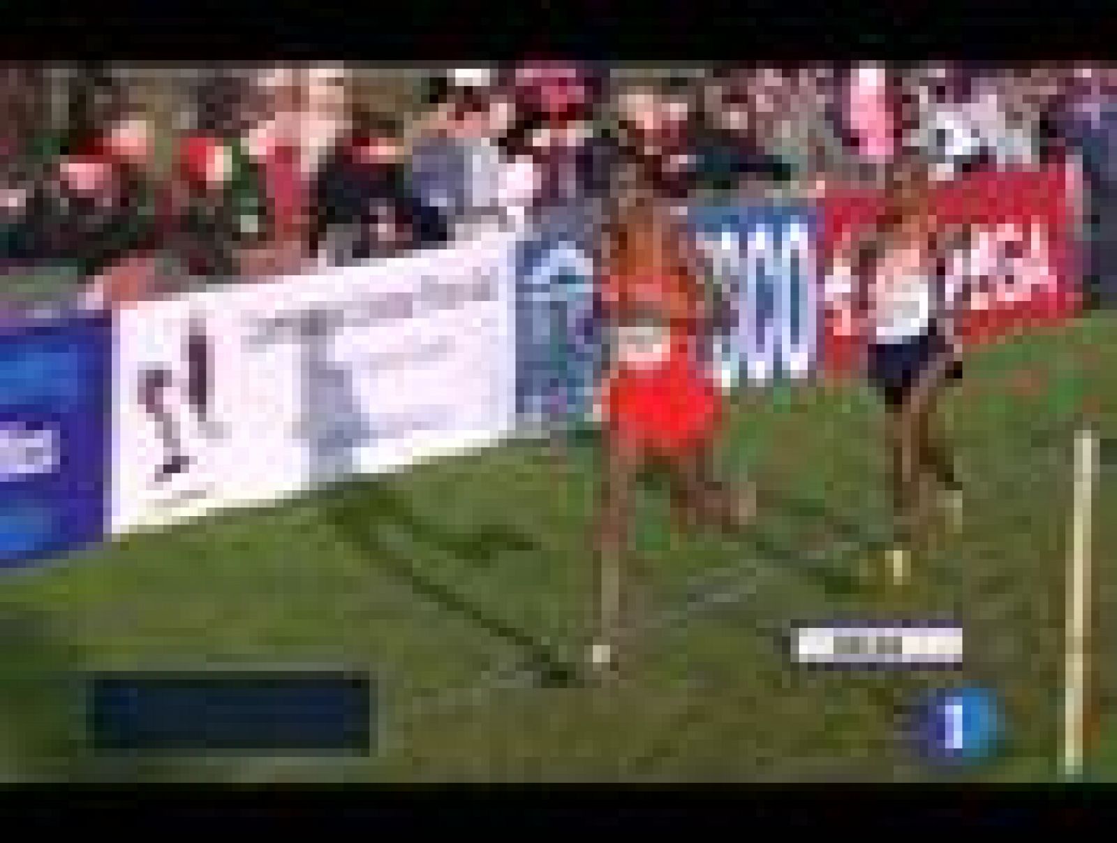 Alemayehu Bezabeh, plusmarquista español de 5.000 metros, ha sido absuelto de tentativa de dopaje por el Comité de Competición de la Federación Española de Atletismo en relación con la Operación Galgo.