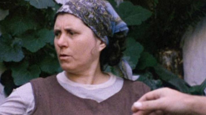 Raíces - El pámpano roto