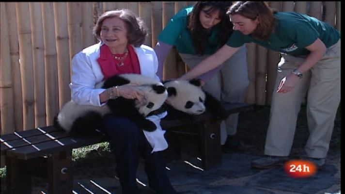 España en 24h - España en 24 horas - 29/03/11