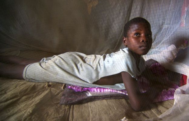Combatir la malaria tiene Premio