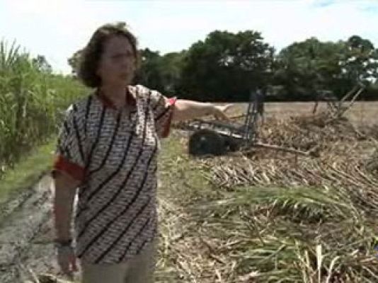 Españoles en el mundo - Filipinas -  Ana