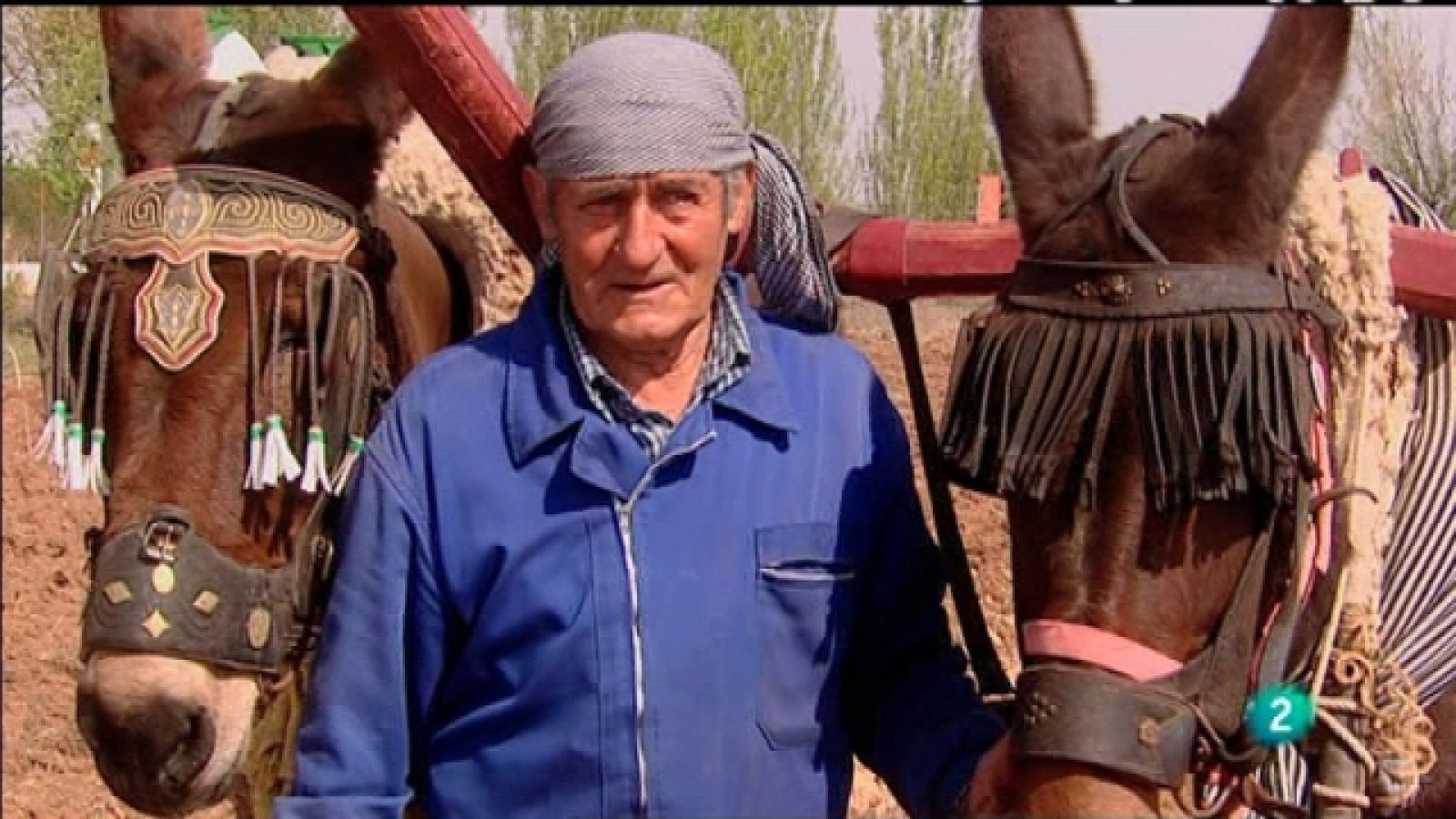 Biodiario - 30/03/11 - Biodiario | Ver