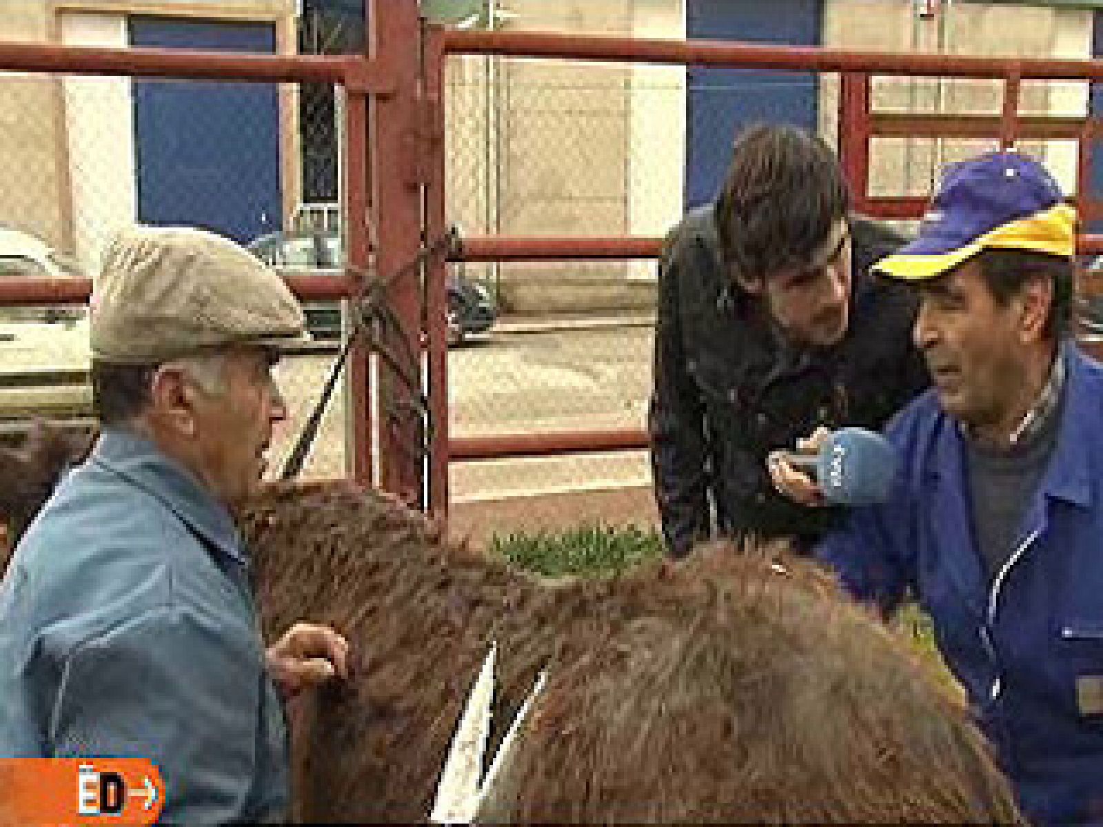 España Directo - De profesión, esquilador