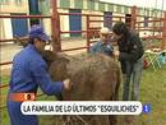 España Directo - De profesión, esquilador