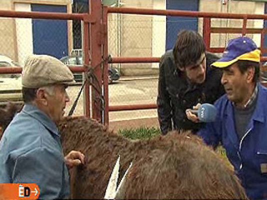 España Directo - De profesión, esquilador