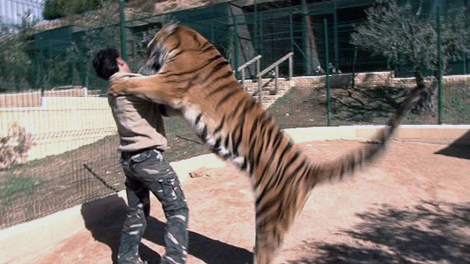  En familia - Más que mascotas - Familia de adiestradores