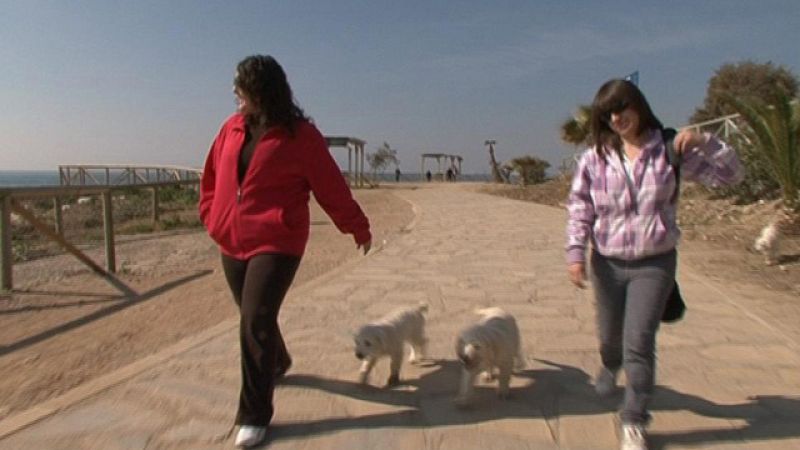 En familia - Más que mascotas - Cría de perros golden