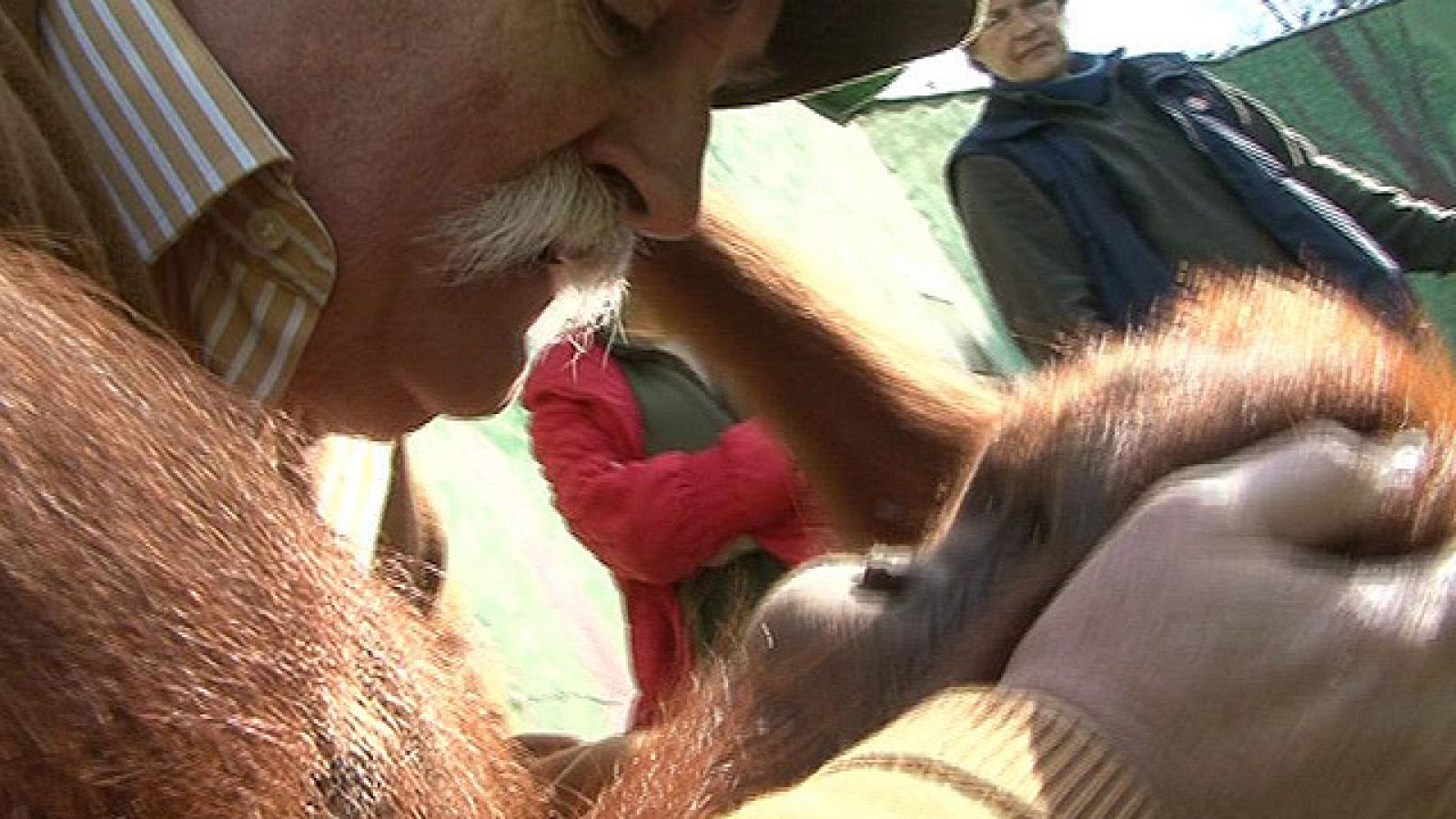  En familia - Más que mascotas - Zoo familiar