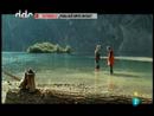 Días de cine - '¿Para qué sirve un oso?'