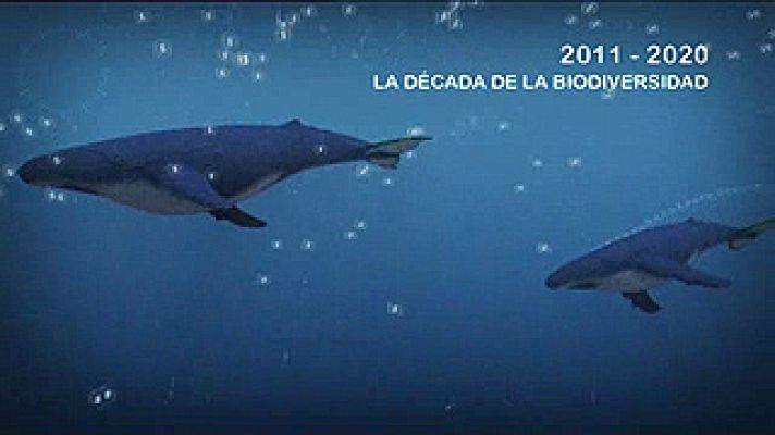 Universo UNED - La Década de la Biodiversidad