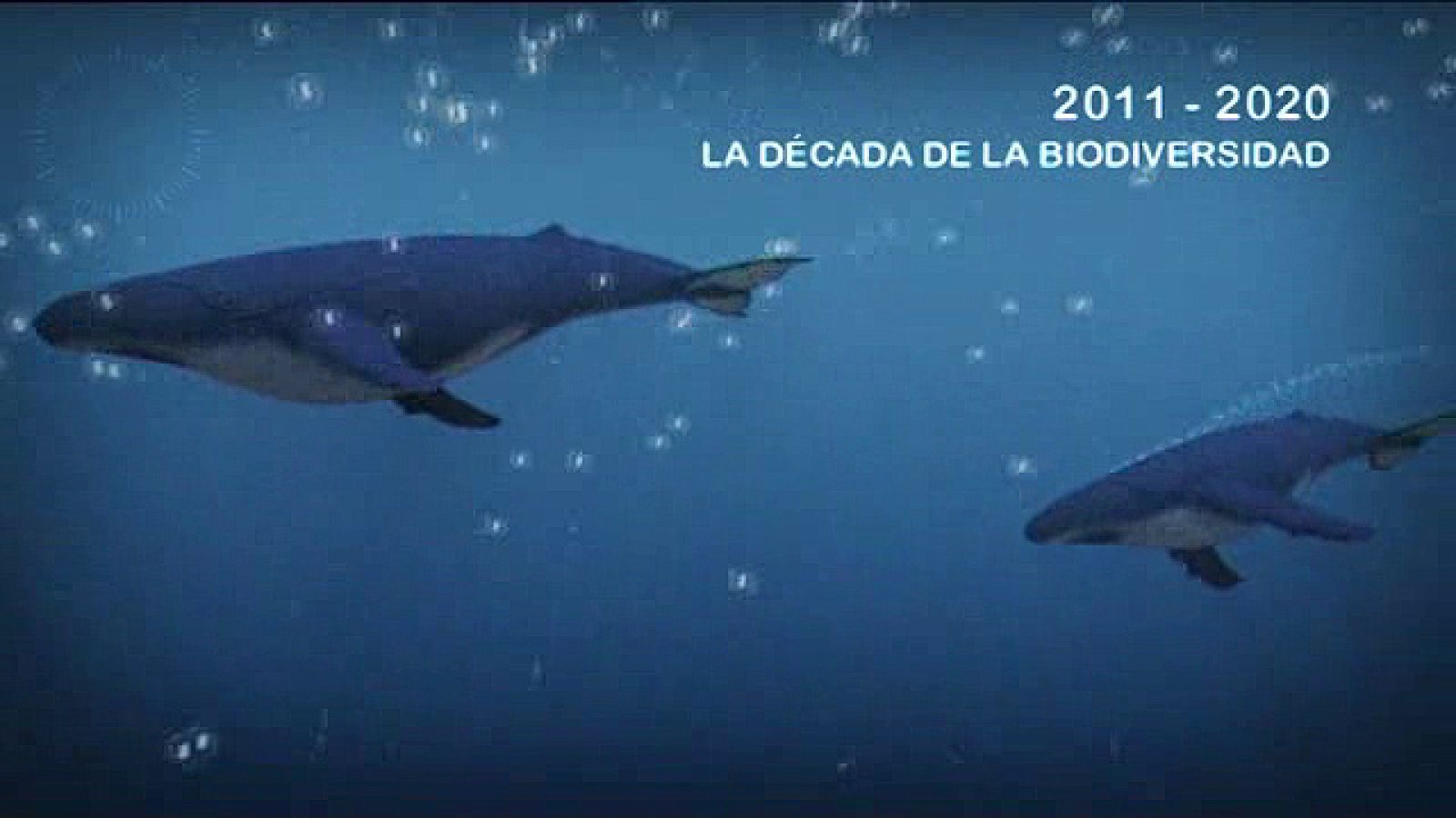 UNED - 2011-2020: La Década de la Biodiversidad - 01/04/11