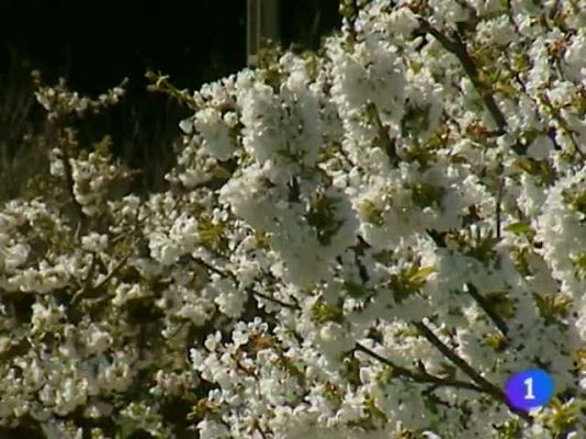 Telenavarra - Telenavarra 01/04/11