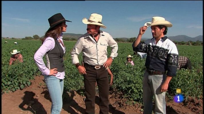 Soy tu dueña - Soy tu dueña - Capítulo 30