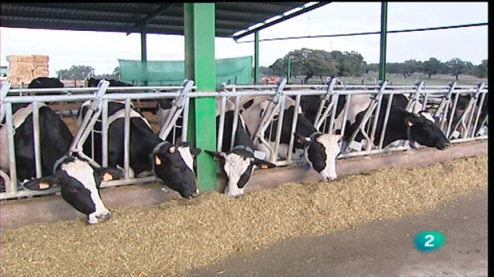 Agrosfera - 02/04/11 - Los contratos obligatorios para el lácteo, la visita a España del Comisario de Agricultura y su postura ante el almacenamiento de aceite de oliva - Ver ahora