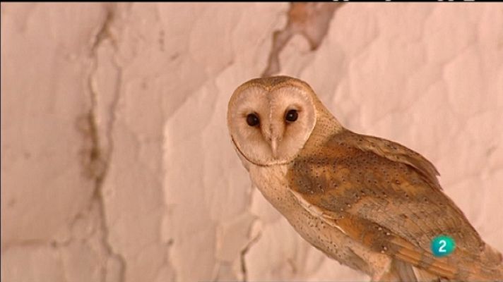 Biodiario - Biodiario - 02/04/11