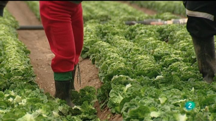 Babel en TVE - Babel en TVE - 03/04/11