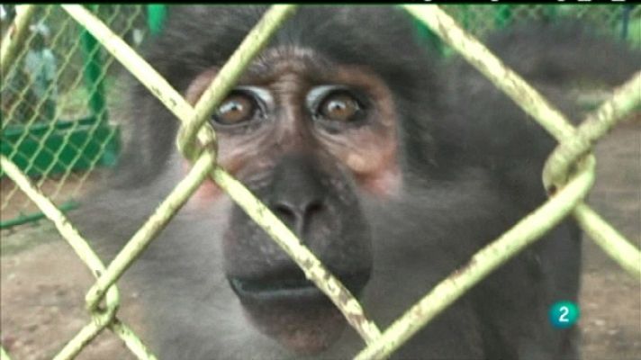 Acción directa - Acción directa - 03/04/11