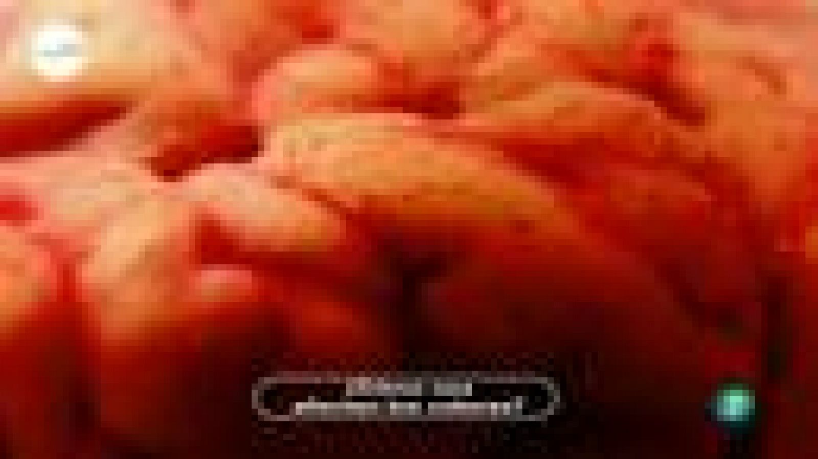 tres14 - curiosidades - ¿Cómo nos afectan los colores?