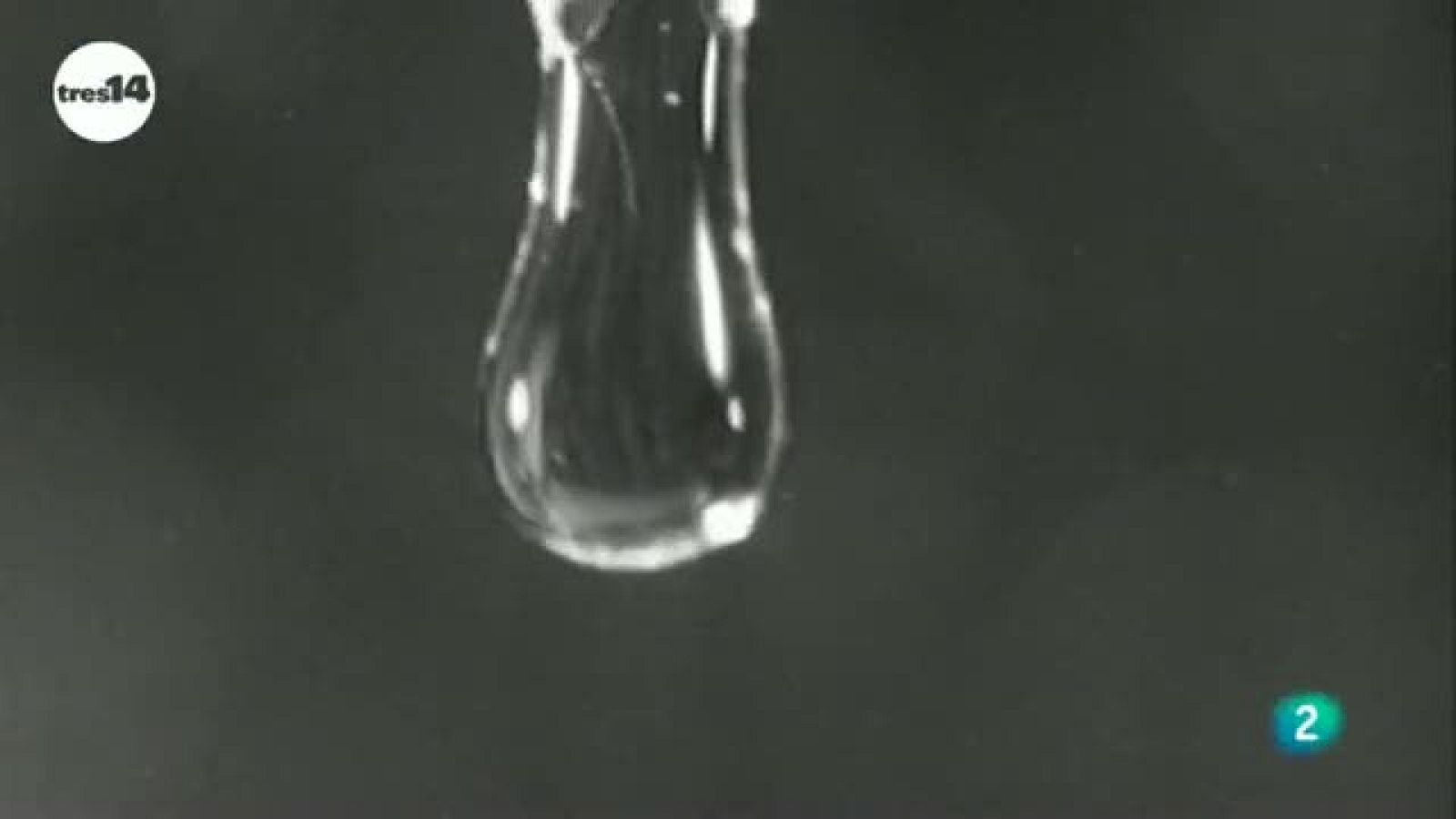 tres14- curiosidades - ¿Por qué la espuma es siempre blanca?