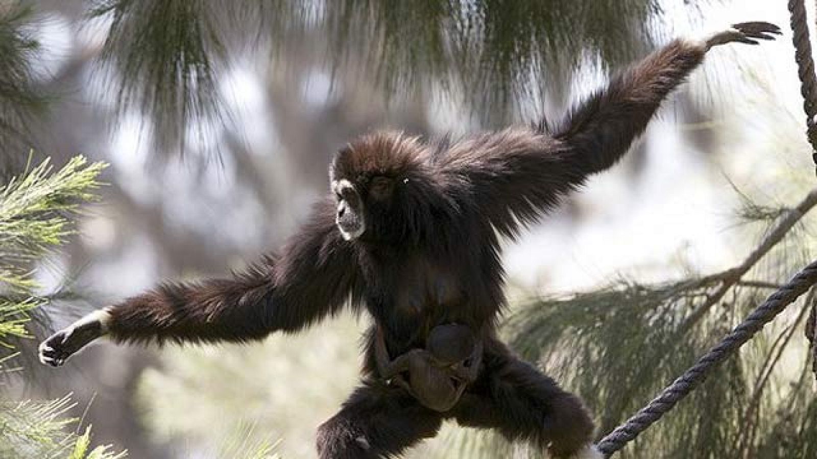 On Off: Madre a los 32 - On Off | Ver