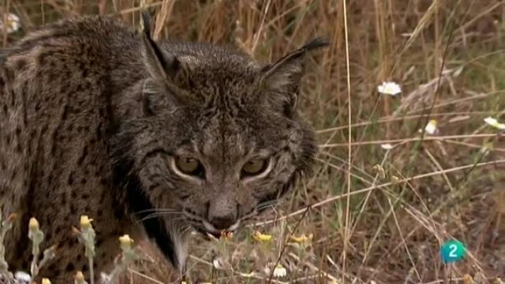 Biodiario - Biodiario - 04/04/11