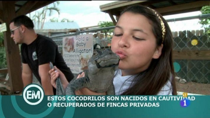 Españoles en el mundo - Miami