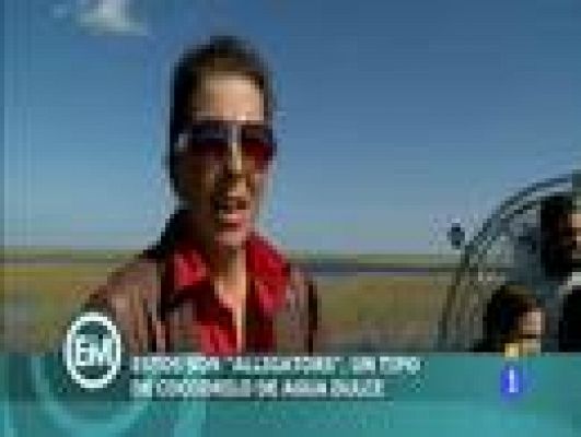 Españoles en el mundo - Miami - Thamara