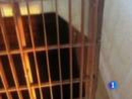  - Un logro en Fukushima