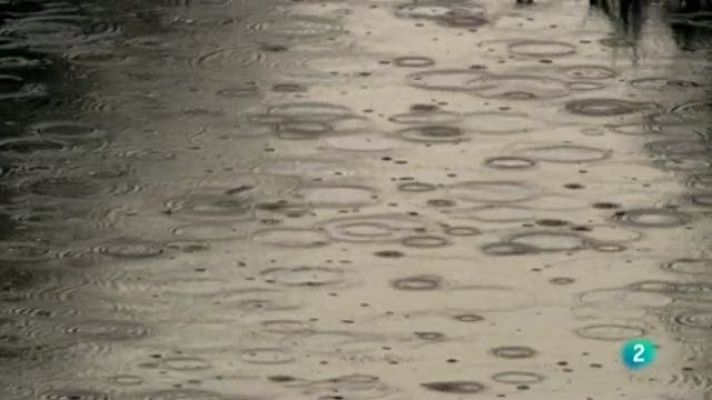 Biodiario - Biodiario - 06/04/11