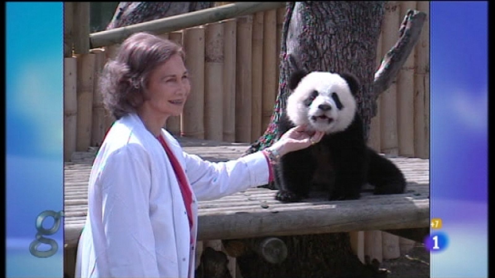 Gente - 06/04/11 - Ver ahora