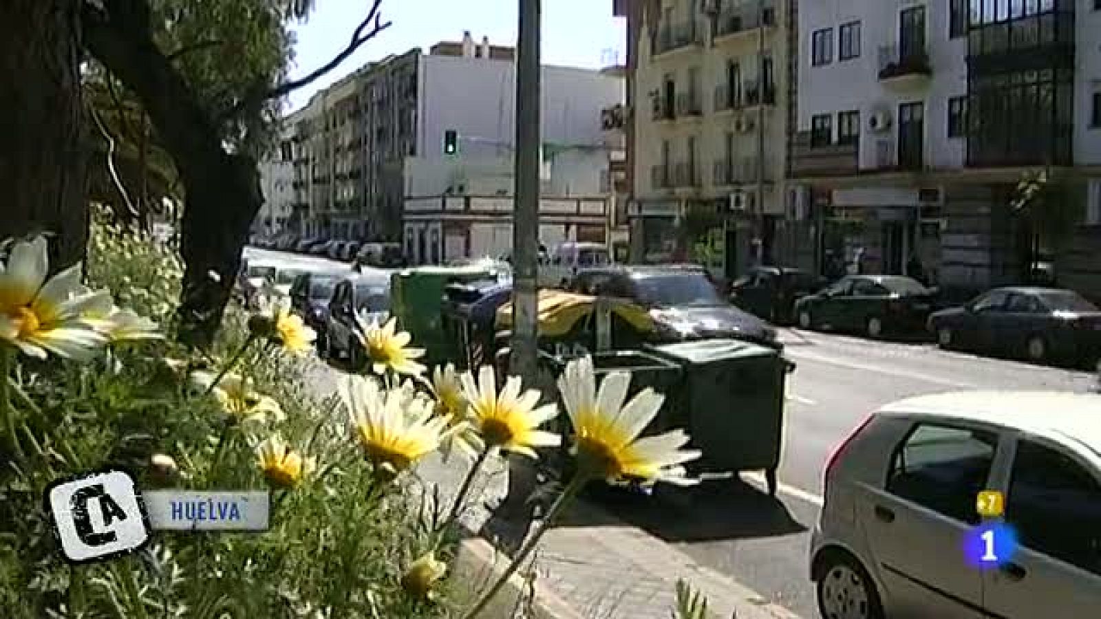 Comando Actualidad - Maldita primavera - Alérgico y asmático