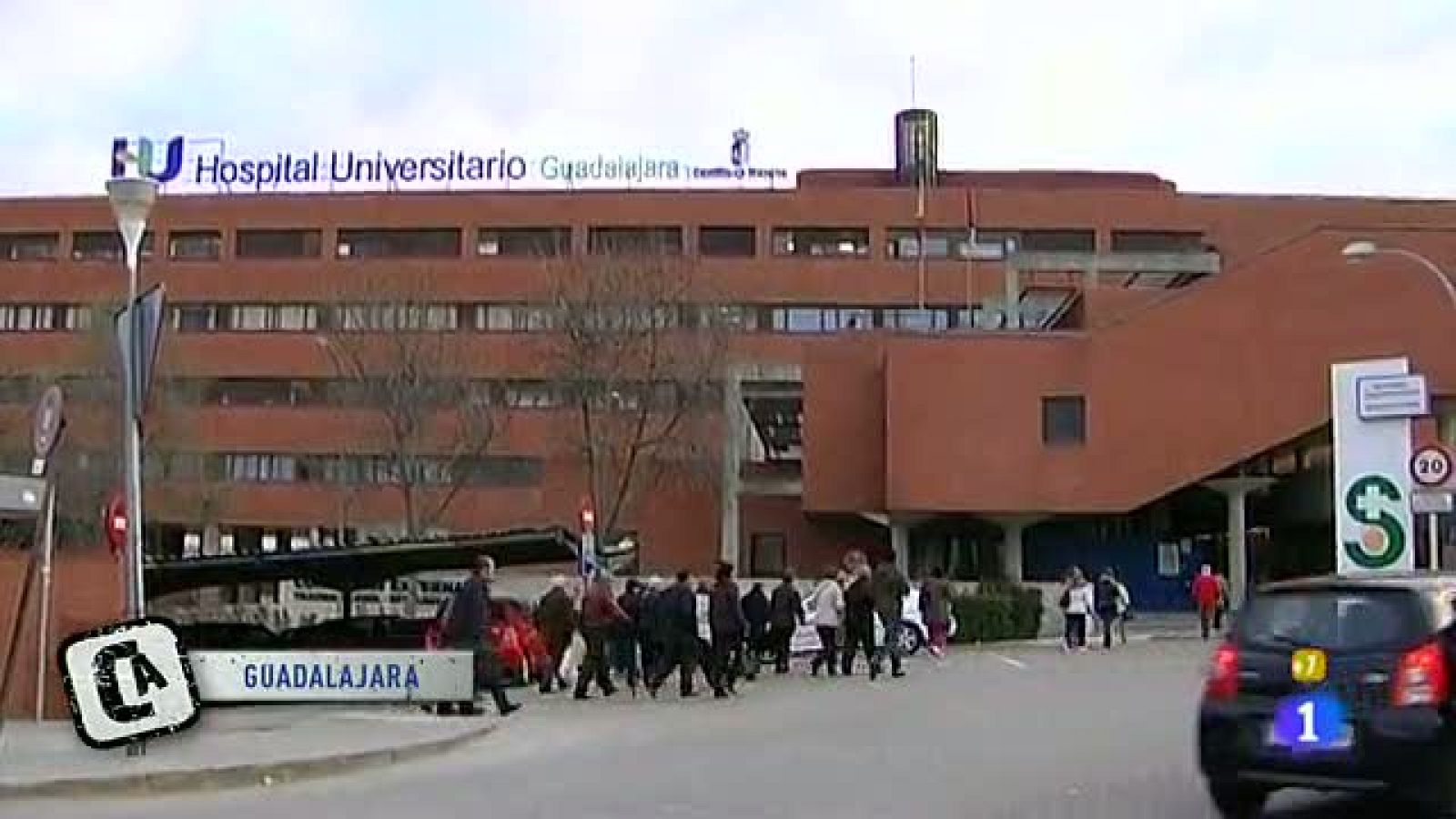 Comando Actualidad - Maldita primavera - Alergia abejas