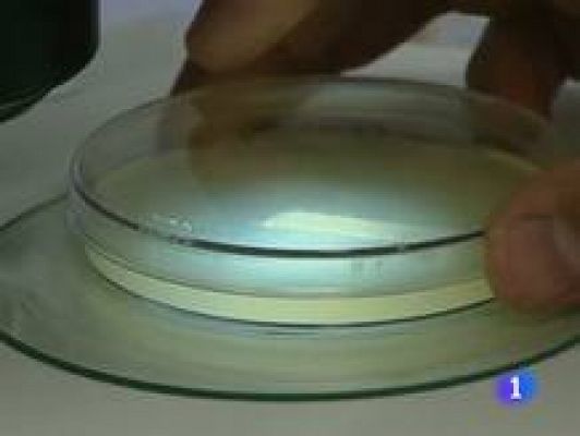 Informativo Telerioja - Telerioja en 2' - 07/04/11