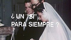 ¿Te acuerdas? - 30 años de la ley del divorcio