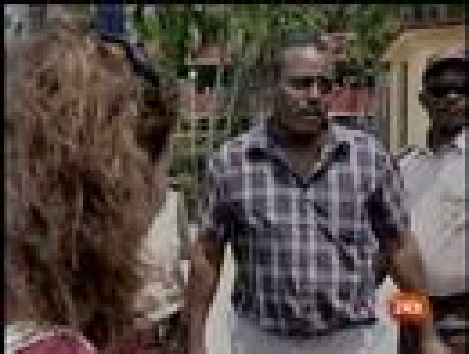 Sin programa: 37 presos cubanos viajan a España | RTVE Play
