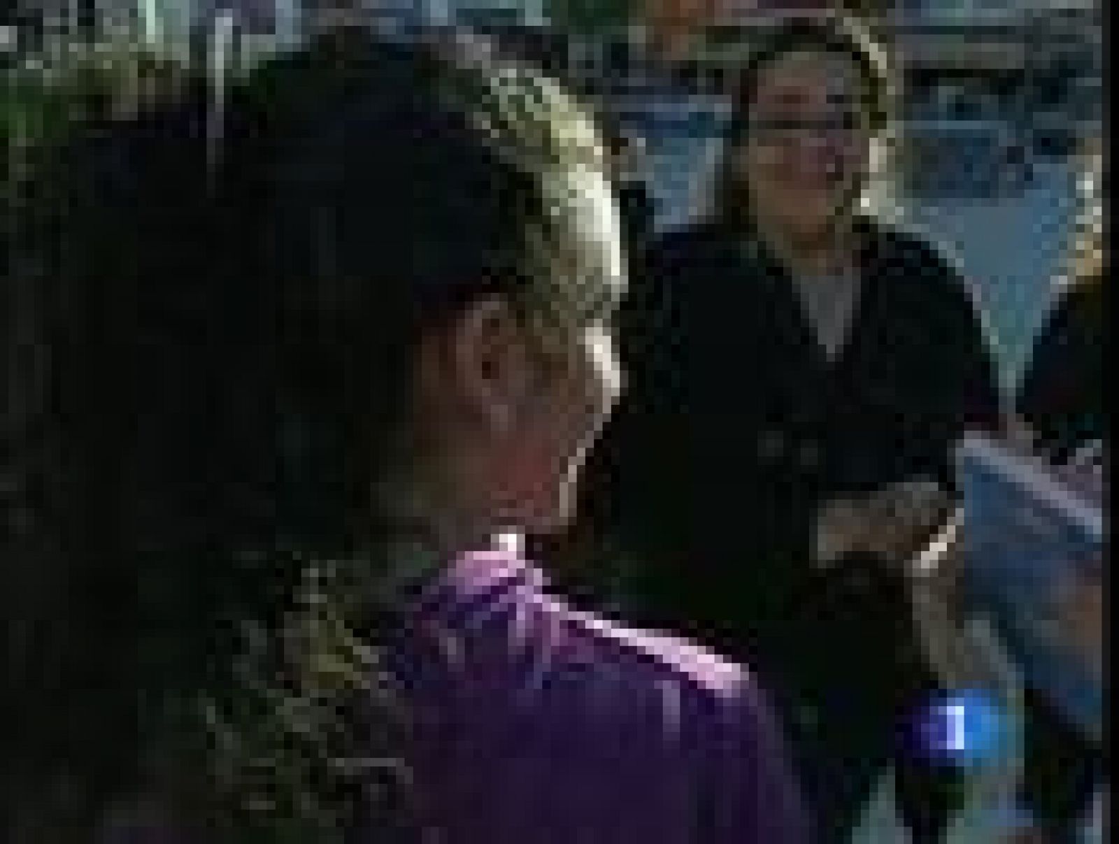 Hoy se celebra el día de los gitanos | Ver