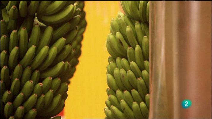 Biodiario - Biodiario - 08/04/11