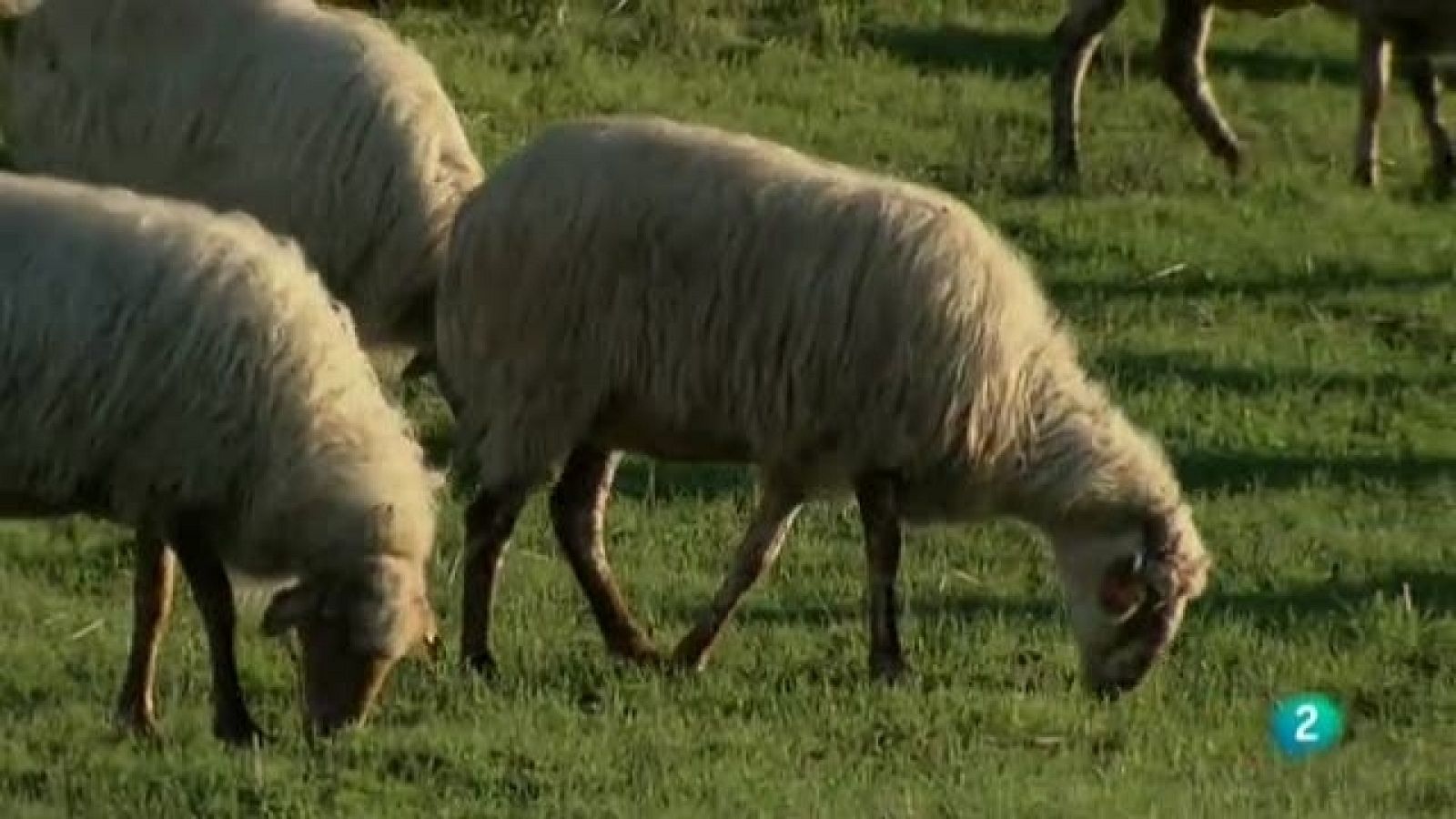 Biodiario - 09/04/11 - Ver ahora