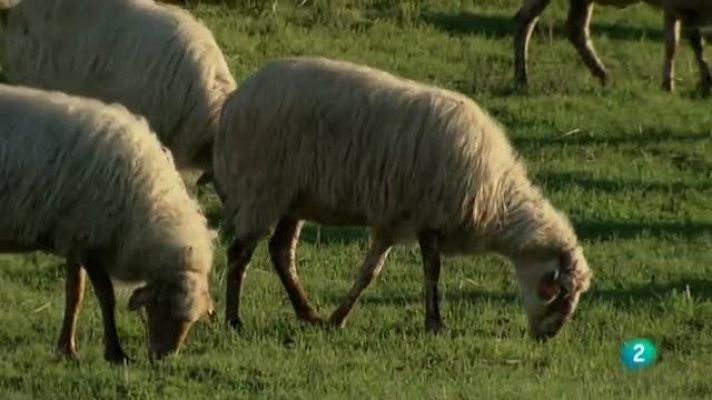 Biodiario - Biodiario - 09/04/11