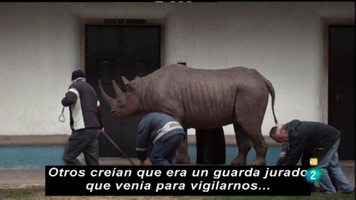 Metrópolis - Javier Tellez